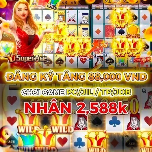 nwe88